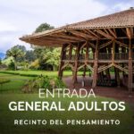 Imagen anterior del producto