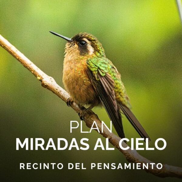 Plan Miradas al Cielo